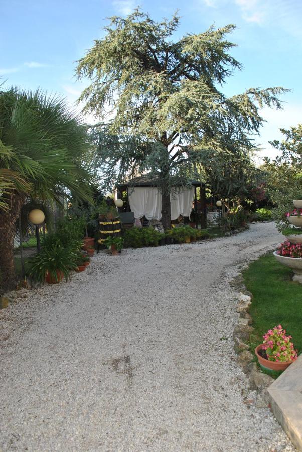 Villino Alle Terme Viterbe Extérieur photo