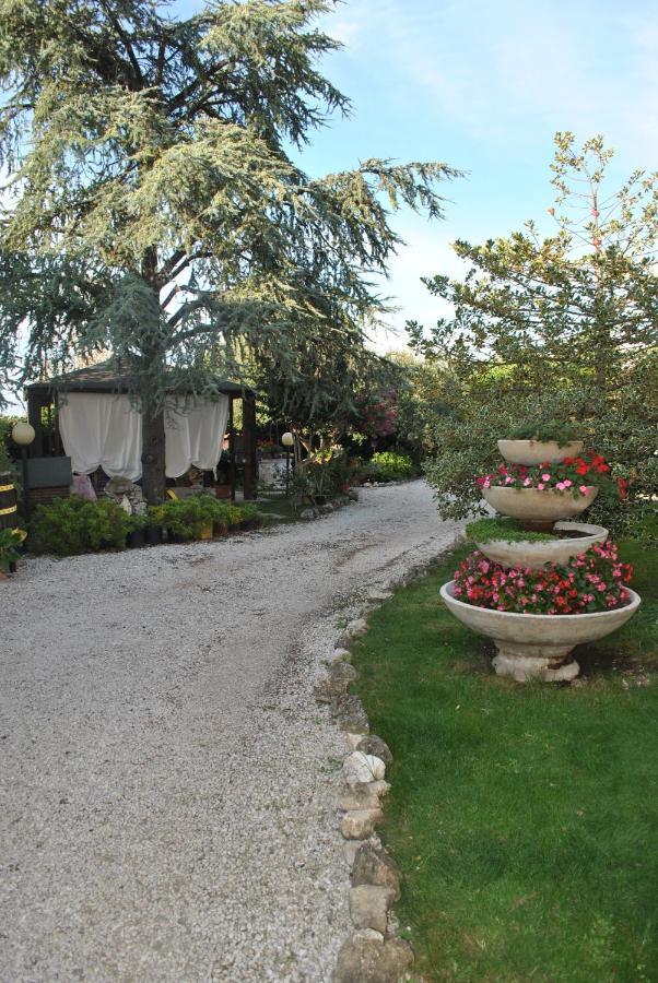 Villino Alle Terme Viterbe Extérieur photo